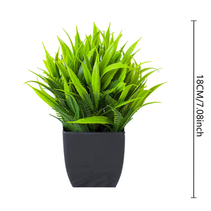 Evergreen Charm Mini Potted Eucalyptus for Chic Interiors