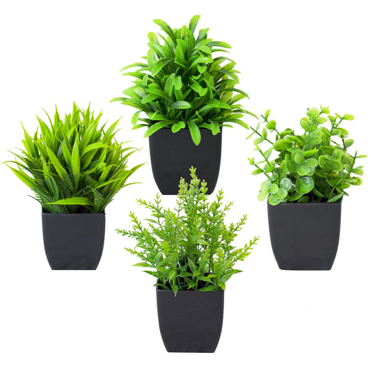 Evergreen Charm Mini Potted Eucalyptus for Chic Interiors