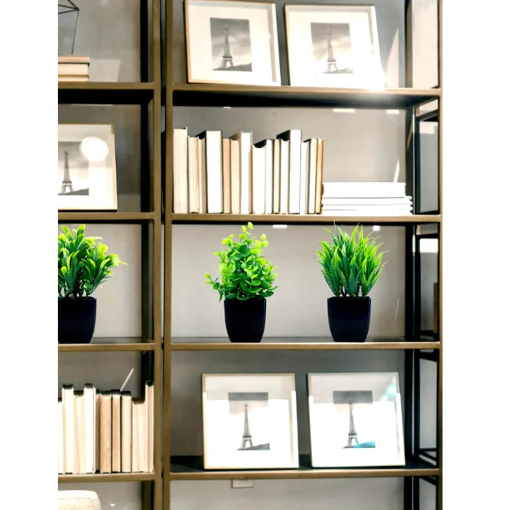 Evergreen Charm Mini Potted Eucalyptus for Chic Interiors